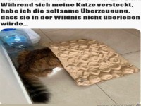 Verstecken muss noch ge�bt werden