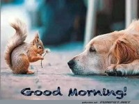 Guten Morgen
