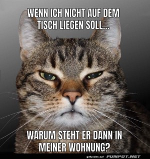 Man-fragt-sich.jpg auf www.funpot.net