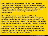 Das weiße Pferd und der Autofahrer