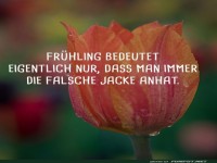 Frhlingsjoke ber das Wetter
