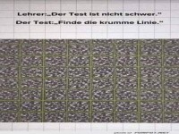 Kniffliger Test mit optischer Tuschung