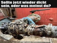 DIY Rohrreparatur: Nailed It!