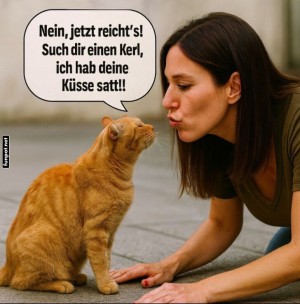 Katzen-Kuschelstreik-erklrt.jpg auf www.funpot.net