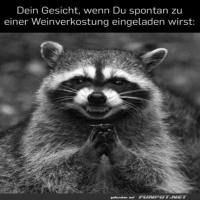 Wenn-Waschbären-Wein-lieben!.jpg von Ida-1969