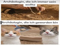Von Pharaonen zur Katzentoilette!