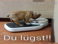 Die Waage l�gt