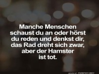 Hamster im Kopf-Wheel of Fortune