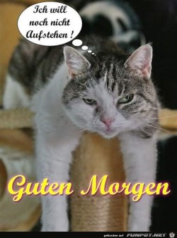 Ich-will-noch-nicht.jpg auf www.funpot.net