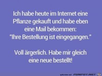 im Interrnet gekauft