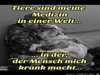 Tiere sind meine Medizin