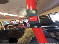 Ziemlich-dumm-gebaut-1