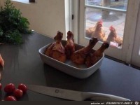 Schlechte Aussichten