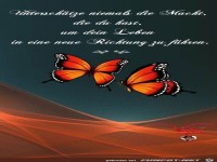 unterschaetze niemals