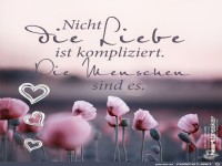 Nicht die Liebe ist kompliziert...