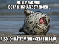 Firma streicht 100 Arbeitspl�tze