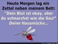 Deine Hausmuecke