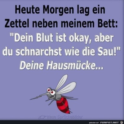 Deine-Hausmuecke.jpg von Keule56