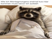 Ich am Montagmorgen