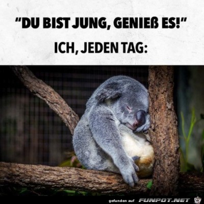 Genieße-jeden-Tag.jpg von Karan