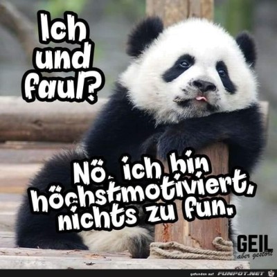 Ich-und-faul.jpg von Keule56