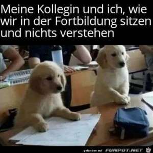 Nix-kapiert.jpg auf www.funpot.net