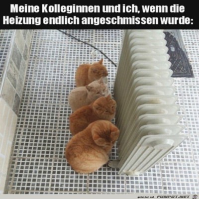 Endlich-ist-die-Heizung-an.jpg von Thies