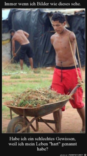 Das-ist-hart.jpg auf www.funpot.net