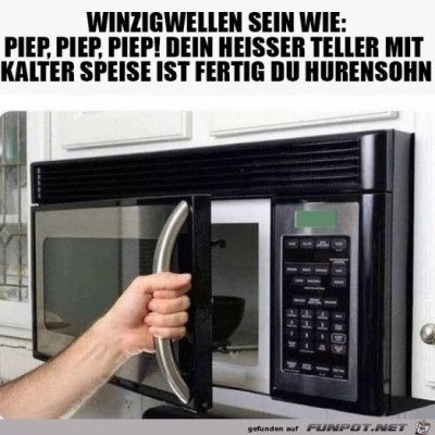 Die-Mikrowelle.jpg von Tillmann