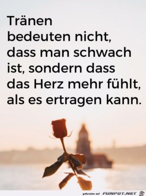 Trnen.jpg auf www.funpot.net