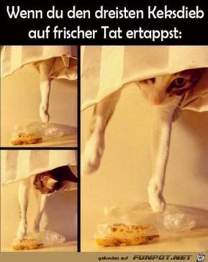 Der-Keksdieb.jpg auf www.funpot.net