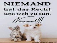 Niemand hat das Recht