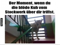 Unerwartete Begegnung im Treppenhaus