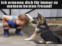Kleine Freunde f�r immer vereint