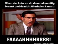 Wenn Autofahrer zum Schreikrampf f�hren