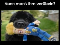 Hund mit besonderem Kauspielzeug