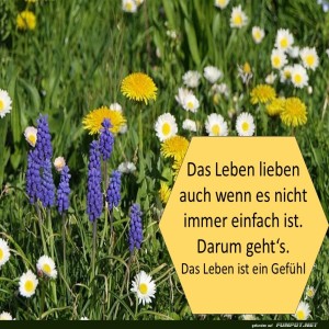 Das-Leben-lieben.jpg von Sirene