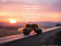 Bienenkuscheln beim Sonnenuntergang