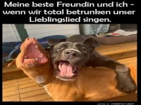 Party-Duett der bellenden Art