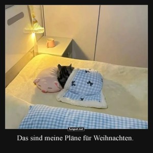 Winterruhe-à-la-Tier.jpg von Benno-2011