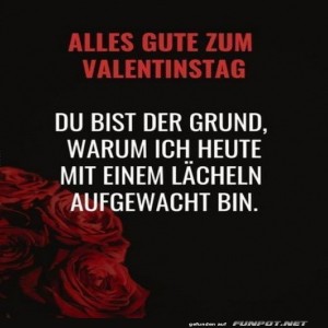 Rosen-sind-rot,-L�cheln-garantiert!.jpg von Justus2002