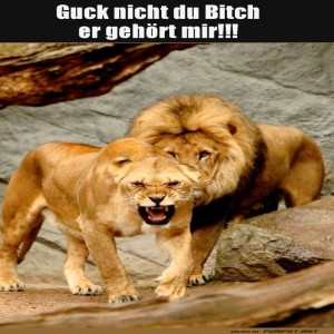 Guck-nicht-so.jpg von Queen92