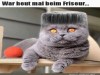 weiter
