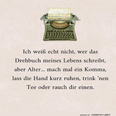 Das-chaotische-Drehbuch-des-Lebens.jpg von Brandon