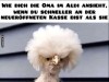 weiter