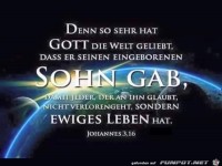 joh 3 16
