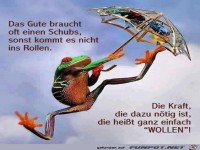 215139 506478209386364 70368028 n