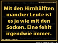 diegeilsten Hirnhaelften