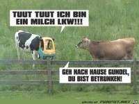 Milch LKW