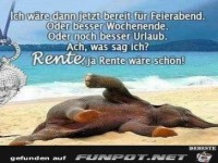 Ich w�re jetzt...